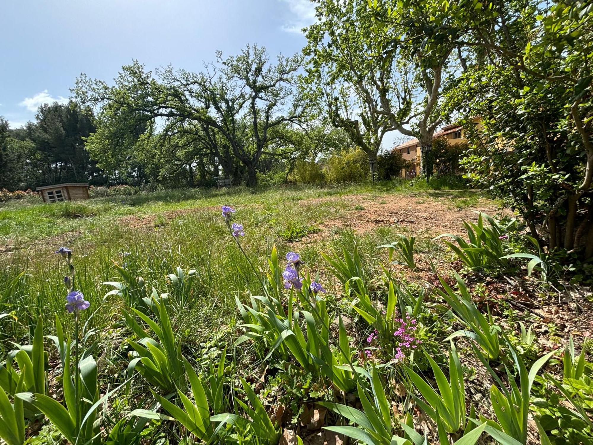 Havre De Paix Au Sein D'Un T3 D'Une Bastide Aixoise 普罗旺斯地区艾克斯 外观 照片